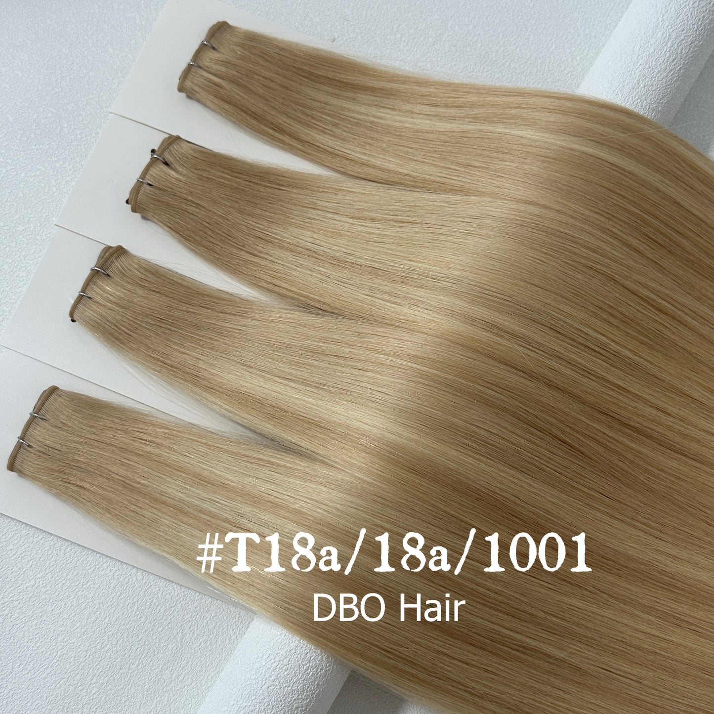 DBO #T18a-18a-1001